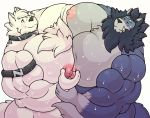  a0n a0nmaster a0nsecretroom anthro barazoku big_breasts bodily_fluids breasts canid canine canis chest_fur collar domestic_dog duo fluffy hi_res huge_breasts hyper hyper_pecs male male/male mammal merphilox merphilox_bigwolf muscular muscular_male nipple_fetish nipple_pinch nipple_play nipples nordic_sled_dog pec_grasp pecs pinch samoyed spitz sweat wolf 