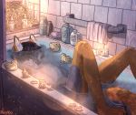  absurd_res anthro bathroom bathtub bubble candle candle_light candle_wax canid canine detailed_background eyes_closed fox fur grey_fox hi_res light lighting lying male mammal multicolored_body multicolored_fur nipples nude on_back partially_submerged pepper_(pepperfox) plant relaxing reykoli rubber_duck soap solo towel underwater urocyon water wet 