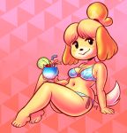  absurd_res animal_crossing anthro barefoot beverage bikini blonde_hair breasts canid canine canis clothing cup domestic_dog female floppy_ears fur hair hi_res isabelle_(animal_crossing) iseenudepeople mammal navel nintendo signature sitting solo swimwear toes video_games 