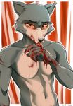  2020 5_fingers anthro beastars black_nose blood bodily_fluids canid canine canis digital_media_(artwork) eyebrows eyelashes fingers legoshi_(beastars) male mammal nuzzo solo standing wolf 