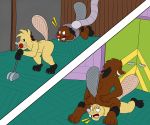  absurd_res beaver brother brown_body brown_fur buckteeth butt daggett_beaver doggettdouglasmcdog duo facesitting fur hi_res leaning lever male mammal nickelodeon norbert_beaver rodent shocked sibling smile split_screen teeth the_angry_beavers 