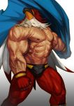  1boy absurdres bara bird_mask blue_cloak cloak fatal_fury gloves gradient gradient_background grey_background griffon_mask highres mark_of_the_wolves muscle shirtless solo the_king_of_fighters traver009 veins wrestler wrestling_mask wrestling_outfit 