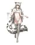  1girl ahoge animal_ear_fluff animal_ears arknights ass_visible_through_thighs bandeau bead_necklace beads between_legs blush bracelet braid breasts cleavage commentary english_commentary eyebrows_visible_through_hair full_body grey_legwear groin hair_between_eyes highres jewelry large_tail leopard_ears leopard_tail lim_aya_w long_hair looking_down medium_breasts midriff navel necklace panties parted_lips pramanix_(arknights) side-tie_panties side_braids silver_eyes silver_hair simple_background snow_leopard_ears snow_leopard_tail solo strapless tail tail_between_legs thigh_gap thighhighs thighs tubetop twin_braids underboob underwear underwear_only walking wavy_hair white_background white_panties 