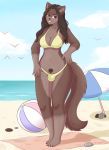  2019 anthro ball beach beach_ball bikini black_hair breasts brown_body brown_eyes brown_fur bulge cleavage clothed clothing domestic_cat felid feline felis fur gynomorph hair intersex mammal navel pubes sand sea seaside selirum sky solo swimwear umbrella water 