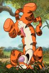  absurd_res cute_face disney featureless_feet felid feral genitals grass handstand happy hi_res lobofeo male mammal markings pantherine penile_spines penis smile solo tiger tigger watermark winnie_the_pooh_(franchise) 