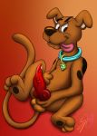  absurd_res animal_genitalia animal_penis balls bodily_fluids canid canine canine_penis canis collar domestic_dog dripping feral genital_fluids genitals hanna-barbera hi_res knot lobofeo male mammal orange_background penis precum scooby-doo scooby-doo_(series) signature simple_background smile smirk solo tongue tongue_out vein veiny_penis 