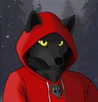  absurd_res anthro canid canine canis clothing hi_res hoodie kuro-tomo male mammal solo topwear wolf 