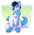  anthro applepup blue_body blue_fur blue_hair canid canine canis diaper domestic_dog fluffy fluffy_tail fur green_eyes hair husky male mammal muzzle_scabs nordic_sled_dog paws sitting solo spitz white_body white_fur 