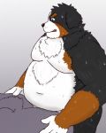  2020 4:5 anthro belly black_body black_fur black_nose blush bodily_fluids brown_body brown_fur butt canid canine canis cute_fangs domestic_dog duo fur hi_res humanoid_hands kemono male mammal moobs navel overweight overweight_male sex simple_background sweat white_body white_fur yaki_atsuage 