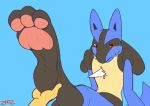 3_toes ambiguous_gender anthro barefoot blush canid canine duo edit embarrassed feet foot_focus foot_grab hindpaw humanoid_hands lucario mammal nintendo pawpads paws pok&eacute;mon pok&eacute;mon_(species) soles solo toes video_games zp92 