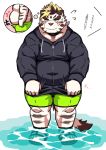  2020 absurd_res anthro belly blush bulge clothing felid footwear fur hi_res hoodie humanoid_hands japanese_text kemono licho_(tas) male mammal navel overweight overweight_male pantherine ptcmtr sandals solo swimwear text tiger tokyo_afterschool_summoners topwear video_games water white_body white_fur 