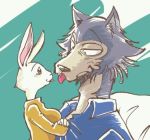  2020 anthro beastars blep canid canine canis cheek_tuft clothed clothing duo facial_tuft female fur grey_body grey_fur haru_(beastars) ktandoku lagomorph legoshi_(beastars) leporid looking_at_another low_res male mammal rabbit tongue tongue_out tuft white_body white_fur wolf 