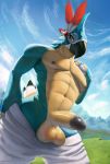  2020 avian balls bird bottomwear breath_of_the_wild clothed clothing cloud detailed_background digital_media_(artwork) erection genitals grass hi_res kass_(tloz) looking_at_viewer male nintendo nipples pants penis rito sky the_legend_of_zelda thousandfoldfeathers topless video_games 