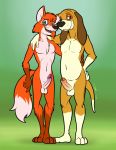  anthro bassy_wolfeh bloodhound brown_body brown_fur canid canine canis copper_(fath) disney domestic_dog duo fox fox_and_the_hound fur genitals hi_res humanoid_genitalia humanoid_penis hunting_dog male male/male mammal orange_body orange_fur penis scent_hound smile tod tod_(fath) 
