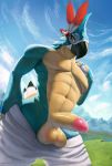  2020 anthro avian beak breath_of_the_wild clothed clothing cloud detailed_background digital_media_(artwork) genitals grass hi_res humanoid_genitalia humanoid_penis kass_(tloz) looking_at_viewer male mountain navel nintendo outside penis rito sky smile solo text the_legend_of_zelda thousandfoldfeathers topless url video_games 