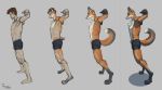  2020 anthro barefoot brown_hair canid canine chest_tuft clothing digitigrade fluffy fox full-length_portrait fur grey_background hair hi_res human human_to_anthro humanoid male mammal portrait side_view simple_background sketch solo species_transformation standing tail_growth talyna transformation transformation_sequence tuft underwear 