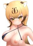  1girl :3 absurdres animal_ear_fluff animal_ears areolae bangs bare_shoulders bikini bikini_aside black_bikini blonde_hair blush breasts brown_hair cheetah_(kemono_friends) cheetah_ears cleavage collarbone covered_nipples criss-cross_halter deku_suke extra_ears eyebrows_visible_through_hair gradient_hair hair_between_eyes halterneck highres kemono_friends long_hair looking_at_viewer medium_breasts multicolored_hair nipples pulled_by_self simple_background smile solo swimsuit upper_body white_background yellow_eyes 