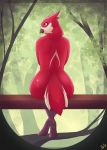  anthro avian beak butt cheeky feet female forest halu hi_res humanoid plant rear_view sitting solo tree 