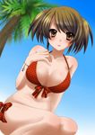  bad_id bad_pixiv_id bikini blurry blush bracelet breasts brown_eyes brown_hair copyright_request depth_of_field dutch_angle front-tie_top jewelry large_breasts looking_at_viewer palm_tree polka_dot polka_dot_bikini polka_dot_swimsuit shiny shiny_skin short_hair side-tie_bikini solo swimsuit tottoto_tomekichi tree twintails wavy_mouth 