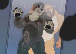  &lt;3 2020 absurd_res anal andeanbear_den anthro balls being_watched belly black_body black_fur blush duo erection eyes_closed fur genitals hi_res humanoid_genitalia humanoid_hands humanoid_penis looking_at_another male male/male mammal moobs nipples on_glass penis sex shower slightly_chubby spectacled_bear tremarctine ursid wet 