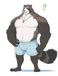  2020 anthro barazoku brown_body brown_fur bulge canid canine clothing fur humanoid_hands ixkouu male mammal raccoon_dog simple_background solo tanuki teeth underwear white_background white_body white_fur 