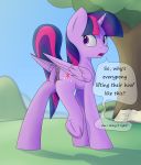  absurd_res anus book cutie_mark dialogue english_text equid female friendship_is_magic genitals hi_res horn mammal my_little_pony pussy renderpoint solo text tree twilight_sparkle_(mlp) winged_unicorn wings 