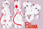  anthro blush breasts canid canine censored_breasts dragon female fluffy fluffy_tail fox fur genitals green_eyes heterochromia hi_res hybrid looking_at_viewer mammal markings_(fur) model_sheet neck_tuft paws pussy red_eyes rilea solo tongue tongue_out tuft white_body white_fur 