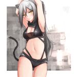  1girl animal_ears arknights armpits arms_up bangs bare_shoulders black_shorts blush breasts caraku cat_ears cat_tail cleavage commentary_request cowboy_shot crop_top eyebrows_visible_through_hair hair_between_eyes head_tilt long_hair looking_at_viewer medium_breasts micro_shorts midriff navel schwarz_(arknights) short_shorts shorts silver_hair solo standing stomach tail thighs very_long_hair yellow_eyes 