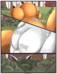  absol balls balls_deep canid close-up comic duo eeveelution female feral flareon genitals male male/female mammal nintendo paws penetration pok&eacute;mon pok&eacute;mon_(species) public spread_toes spying text thrusting toes vaginal vaginal_penetration video_games xxgato 