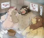  2013 anthro barazoku bathing canid canine canis domestic_dog domestic_pig felid group humanoid_hands kemono lion male mammal overweight overweight_male pantherine sitting suid suina sus_(pig) train_(artist) water 