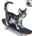  2020 ambiguous_gender digital_media_(artwork) domestic_cat felid feline felis feral flashlioness green_eyes mammal skateboard solo 