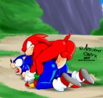  anal ancient-onyx anthro balls bodily_fluids butt duo genitals hi_res knuckles_the_echidna male male/male outside penis questionable_consent sonic_the_hedgehog sonic_the_hedgehog_(series) sweat 