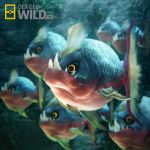  absurdres carvanha commentary creature english_commentary fish fish_focus gen_3_pokemon highres no_humans photorealistic pokemon pokemon_(creature) realistic sebastian_montecinos sharp_teeth teeth underwater water yellow_eyes 