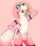 &lt;3 anthro bulge clothing dildo fluffy fluffy_tail fur fur_markings girly green_tongue male markings muky-cuddly panties sex_toy skullfugg snout solo tongue underwear 