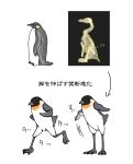 bird claws commentary_request directional_arrow original penguin running saba_can_fillet_maguru standing translation_request what 