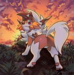 cloud cloudy_sky commentary english_commentary gen_7_pokemon grass highres horizon lycanroc lycanroc_(dusk) no_humans outdoors pinkgermy pokemon pokemon_(creature) red_eyes sky solo sunset tail 