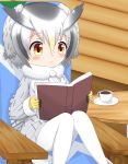  1girl :&lt; bangs blush book brown_eyes closed_mouth coat coffee commentary_request cup eyebrows_visible_through_hair feet_out_of_frame fur-trimmed_coat fur_trim gloves gradient_hair grey_coat grey_hair hair_between_eyes highres holding holding_book kemono_friends knees_together_feet_apart knees_up long_sleeves multicolored_hair northern_white-faced_owl_(kemono_friends) open_book pantyhose saucer shin01571 sitting solo table white_legwear yellow_gloves 
