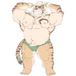  1:1 2020 anthro balls_outline belly bulge clothing felid genital_outline hi_res hombretigre humanoid_hands kemono male mammal meimei_kia moobs nipples one_eye_closed overweight overweight_male pantherine penis_outline simple_background solo tiger tokyo_afterschool_summoners underwear video_games white_background wink 