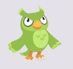  absurd_res animal_crossing avian beak bird blathers_(animal_crossing) cosplay crossover crossover_cosplay duo_(duolingo) duolingo feathers green_body green_feathers green_wings hi_res male mascot nintendo orange_body owl riaoracreations simple_background solo video_games wings yellow_beak 