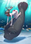  bikini black_hairband brown_hair fish floating_hair hairband highres jun_(seojh1029) light_rays manatee orange_eyes original ponytail red_bikini sleeping snorkel snorkel_in_mouth swimsuit underwater 