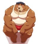  2020 absurd_res anthro blush bottomwear brown_body brown_fur bulge clothing fur hat headgear headwear hi_res humanoid_hands jumperbear kemono male mammal musclegut overweight overweight_male shirt shorts simple_background sitting solo topwear ursid white_background 