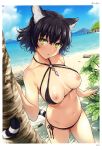  1girl absurdres animal_ear_fluff animal_ears beach bikini black_bikini black_hair blue_sky breasts breasts_outside cowboy_shot day dutch_angle eyebrows_visible_through_hair fisheye green_eyes halterneck head_tilt highres horizon looking_at_viewer medium_breasts navel nipples o-ring o-ring_bikini o-ring_top open_mouth outdoors scan short_hair side-tie_bikini sky solo standing swimsuit tail tiger_ears tiger_girl tiger_tail toranoana upper_teeth yoshiron 