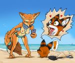  anthro bad_guy_cafe beach bikini blep blue_eyes bluemane_(smneff) breasts brown_body brown_fur canid canine clothing couple_(disambiguation) duo female fox foxoon fur green_eyes heterochromia hole_(disambiguation) hybrid kiro_(kiroyal) male mammal orange_body orange_fur procyonid raccoon sand seaside stripes swimwear tongue tongue_out yellow_eyes ziegelzeig 