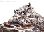  2020 ambiguous_gender black_spots cheek_tuft facial_tuft felid feral fluffy fur inner_ear_fluff kenket leopard_spots looking_aside lying mammal on_front pantherine paws rock simple_background smile snow_leopard solo spots spotted_body spotted_fur text toes traditional_media_(artwork) tuft url whiskers white_background white_body white_fur 