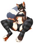 4_toes anthro biped black_hair bra breasts camel_toe claws clothing collar digital_media_(artwork) female fingerless_(marking) fluffy fluffy_tail fur hair hi_res kulza legwear long_tail looking_at_viewer mammal multicolored_body multicolored_fur multicolored_tail oloxbangxolo panties procyonid ring-tailed_cat simple_background solo toe_claws toes under_boob underwear white_background 