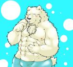  2013 anthro barazoku blush bulge clothing fur hi_res humanoid_hands kemono male mammal nipples polar_bear solo suishou0602 underwear ursid ursine white_body white_fur 