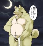  2013 anthro balls belly canid canine canis domestic_dog genitals hi_res humanoid_genitalia humanoid_hands humanoid_penis japanese_text kemono male mammal moobs moon navel night nipples outside overweight overweight_male penis pubes small_penis solo suishou0602 text towel 