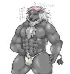  2013 anthro asian_clothing barazoku bulge clothing east_asian_clothing fundoshi fur grey_body grey_fur hi_res humanoid_hands japanese_clothing japanese_text kemono male mammal muscular nipples pecs simple_background solo suishou0602 text underwear white_background 