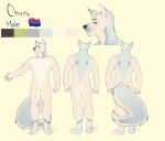  anthro athletic biped bluesh butt canid canine canis chris_(bluesh) flaccid fur genitals hair hi_res humanoid_genitalia humanoid_penis lgbt_pride mammal model_sheet multicolored_body multicolored_fur multicolored_tail pecs penis pubes simple_background standing uncut white_body white_fur white_hair white_tail wolf 