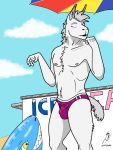  3:4 absurd_res anthro bulge camelid clothing drakonishimurasan hi_res inflatable_toy llama male mammal solo speedo swimwear zafiro_camelaez_(drakonishimurasan) 